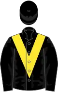 Black, yellow chevron, black cap