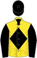Yellow, black diamond, sleeves and cap