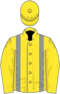 Yellow, grey braces