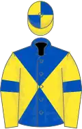 Royal Blue and Yellow diabolo, Yellow sleeves, Royal Blue armlets, quartered cap
