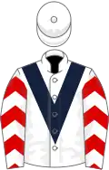 White, dark blue chevron, red and white chevrons on sleeves