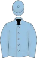 Blue, light blue sleeves, light blue cap