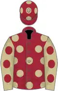Maroon, beige spots, beige sleeves, maroon spots and maroon spots on cap