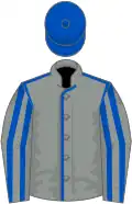 Grey, royal blue seams, striped sleeves, royal blue cap