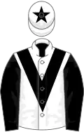 White, black chevron, sleeves and star on cap