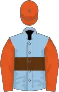 Light blue, brown hoop, flame sleeves and cap