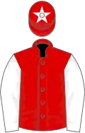 Red, white sleeves and star on cap