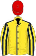 YELLOW, DARK BLUE seams, striped sleeves, RED cap