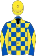 Royal blue and yellow check, diabolo on sleeves, yellow cap