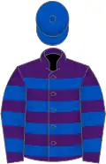 Purple, royal blue hoops, royal blue cap