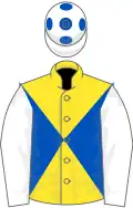 Yellow and Royal Blue diabolo, White sleeves, White cap, Royal Blue spots