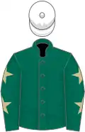 Dark green, dark green, beige stars sleeves, white cap