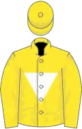 Light blue, white inverted triangle