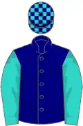Navy blue, turquoise sleeves, check cap