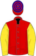Red, yellow sleeves, red and blue hooped cap