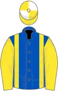Royal Blue, Yellow braces and sleeves, Yellow and White quartered cap