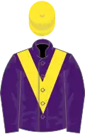 PURPLE, yellow chevron & cap