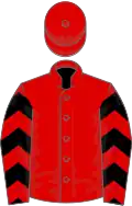 Red, black chevrons on sleeves, red cap