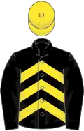 BLACK and YELLOW CHEVRONS, black sleeves, yellow cap