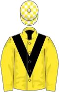 Yellow, black chevron, white and yellow check cap