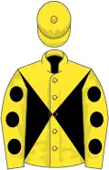 Yellow and Black diabolo, Yellow sleeves, Black spots, Yellow cap