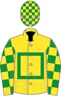 Yellow, green hollow box, checked sleeves and cap