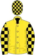 Yellow, yellow and black check sleeves and cap