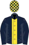 DARK BLUE, yellow panel, check cap