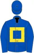 Royal blue, yellow hollow box