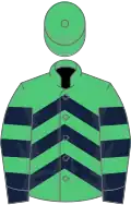 Emerald green, dark blue chevrons, emerald green sleeves, dark blue hoops and cuffs, emerald green cap