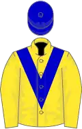 Yellow, royal blue chevron, royal blue cap