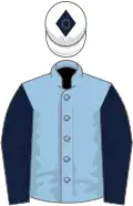Light blue, dark blue sleeves, white cap, dark blue diamond