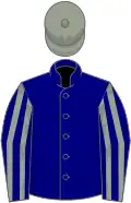Navy blue, french grey striped sleeves, grey cap