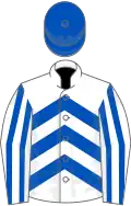 WHITE and ROYAL BLUE CHEVRONS, striped sleeves, royal blue cap