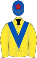 YELLOW, royal blue chevron, royal blue cap, red star