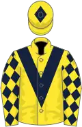 Yellow, Dark Blue chevron, diamonds on sleeves, Yellow cap, Dark Blue diamond