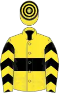 Yellow, black hoop, chevrons on sleeves, hooped cap
