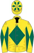 Yellow, dark green diamond, diabolo on sleeves and diamonds on cap