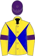 Yellow, blue diabolo, purple armlets and cap