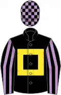 Black, yellow hollow box, black and mauve striped sleeves, check cap