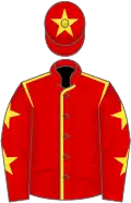 Red, yellow seams, red sleeves, yellow stars, red cap, yellow star