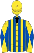 Yellow and royal blue stripes, diabolo on sleeves, yellow cap