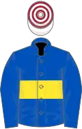 Royal blue, yellow hoop, royal blue sleeves, white and maroon hooped cap