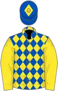 Royal blue and yellow diamonds, yellow sleeves, royal blue cap, yellow diamond