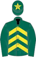 Dark green, yellow chevrons, dark green sleeves, dark green cap, yellow star