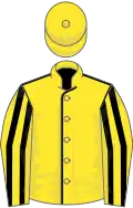 YELLOW, black seams, striped sleeves, yellow cap