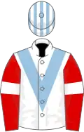White, light blue chevron, striped cap, red sleeves, white armlets