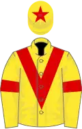 Yellow, red chevron, red armlet, red star on cap