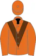 Orange, brown chevron