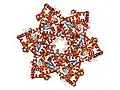 SV40 large T antigen
